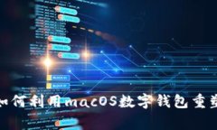 打破常规！如何利用macOS数字钱包重塑生活方式？