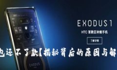 数字钱包还不了款？揭秘背后的原因与解决方案