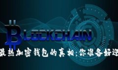2023年美国最热加密钱包的真相：你准备好迎接挑