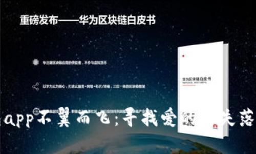当数字钱包app不翼而飞:寻找爱的与失落的平衡之旅