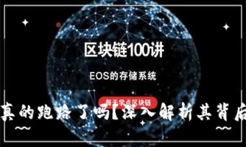 TP钱包真的跑路了吗？深入解析其背后的真相