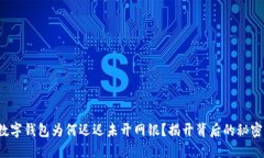 数字钱包为何迟迟未开网银？揭开背后的秘密！