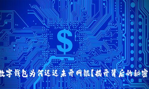 数字钱包为何迟迟未开网银?揭开背后的秘密!