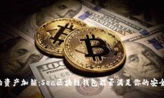 为你的资产加锁：Sea区块链钱包能否满足你的安