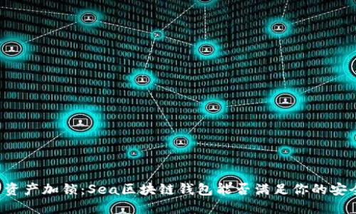 为你的资产加锁:Sea区块链钱包能否满足你的安全需求?