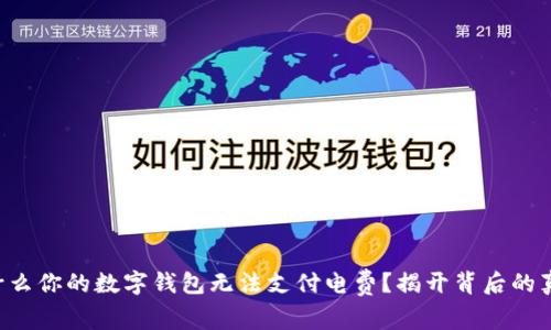 为什么你的数字钱包无法支付电费？揭开背后的真相！