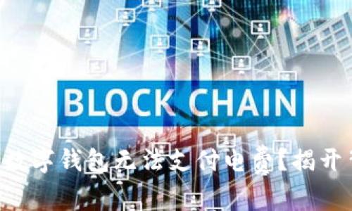 为什么你的数字钱包无法支付电费？揭开背后的真相！