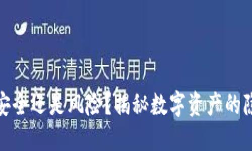 TP钱包：安全还是风险？揭秘数字资产的隐秘角落！