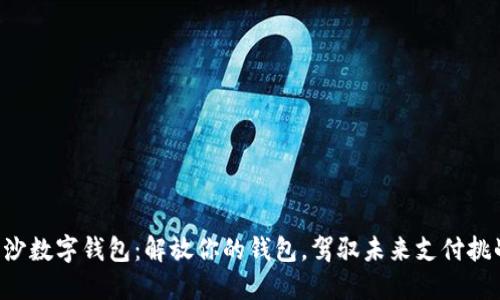 长沙数字钱包：解放你的钱包，驾驭未来支付挑战！