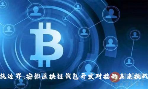 打破传统边界：安徽区块链钱包开发对接的未来挑战与机遇