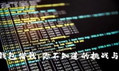 “数字钱包借钱：你不知道的挑战与机遇！”