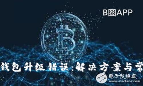数字人民币钱包升级错误：解决方案与常见问题解析