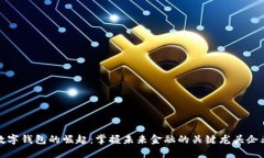 数字钱包的崛起：掌握未来金融的关键龙头企业