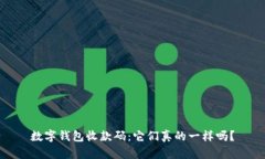 数字钱包收款码：它们真的一样吗？
