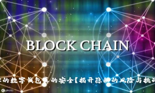 你的数字钱包真的安全？揭开隐秘的风险与挑战！