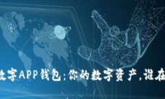 “华云数字APP钱包：你的数字资产，谁在掌控？