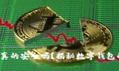 “微笑钱包”真的安全吗？揭秘数字钱包的隐秘
