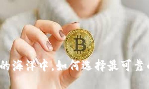 在数字钱包的海洋中，如何选择最可靠的下载渠道？