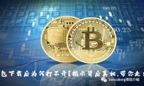 TP冷钱包下载后为何打不开？揭示背后真相，带你走出困境！