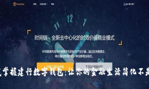 徹底掌握建行数字钱包：让你的金融生活简化不是梦！