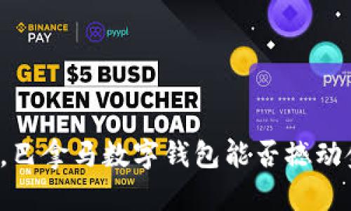 颠覆传统,巴拿马数字钱包能否撼动金融格局?