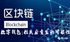 失去的数字钱包：挂失后重生的可能性与挑战
