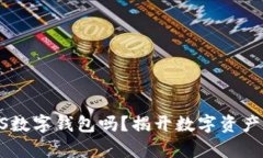 你真的会使用VDS数字钱包吗？揭开数字资产管理