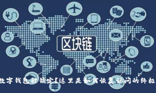 你的数字钱包被锁定？这里是如何恢复访问的终极指南！