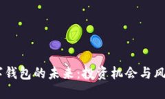 探索DCEP数字钱包的未来：投资机会与风险的双重