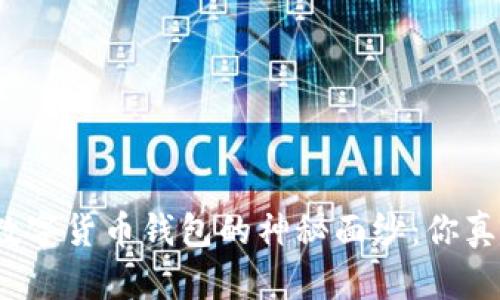 揭开哈希世界数字货币钱包的神秘面纱:你真的准备好了吗?
