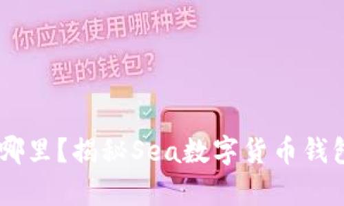 “你的数字财富掌控在哪里?揭秘Sea数字货币钱包,颠覆传统财富管理!”