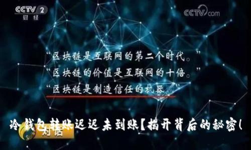 冷钱包转账迟迟未到账?揭开背后的秘密!