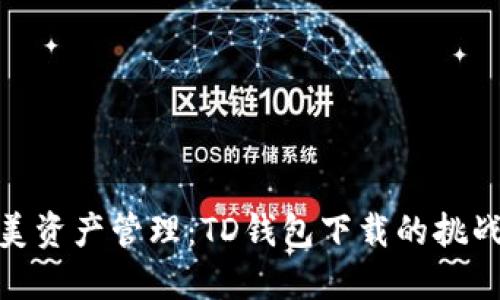 体验完美资产管理:TD钱包下载的挑战与机遇