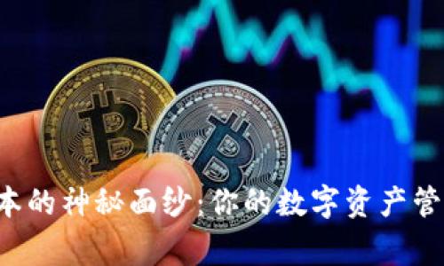 揭开TP钱包2024最新版本的神秘面纱:你的数字资产管家,还是潜在的风险陷阱?