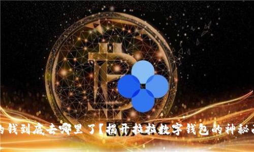 你的钱到底去哪里了?揭开拉拉数字钱包的神秘面纱