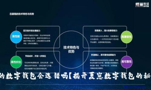 你的数字钱包会选错吗?揭开夏崽数字钱包的秘密!