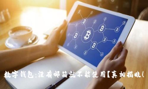 数字钱包:没有邮箱就不能使用?真相揭晓!