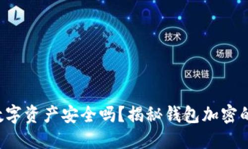 你的数字资产安全吗?揭秘钱包加密的秘密!