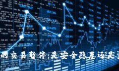 数字钱包的交易暂停：是安全隐患还是系统升级