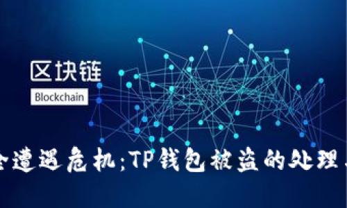 当资产安全遭遇危机：TP钱包被盗的处理与防范之道