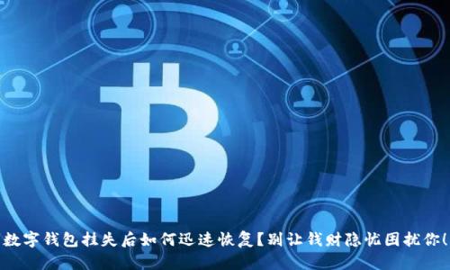数字钱包挂失后如何迅速恢复？别让钱财隐忧困扰你！