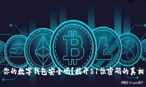 你的数字钱包安全吗?揭开51位密码的真相