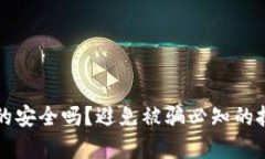 TP钱包真的安全吗？避免被骗必知的技巧与对策