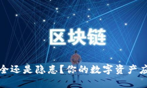 TP冷钱包:安全还是隐患?你的数字资产应该如何选择!