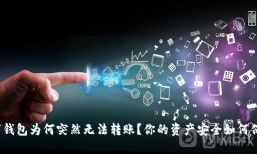 数字钱包为何突然无法转账?你的资产安全如何保障?