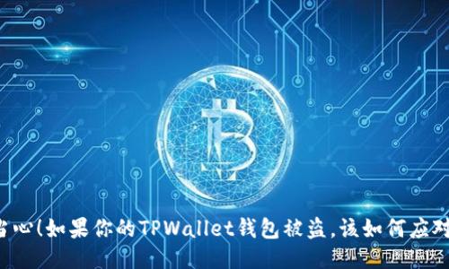 当心!如果你的TPWallet钱包被盗,该如何应对?