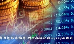 在数字钱包的浪潮中，你准备好迎接mykey的挑战了