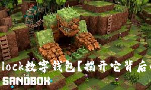 为何选择S Block数字钱包?揭开它背后的潜力与挑战