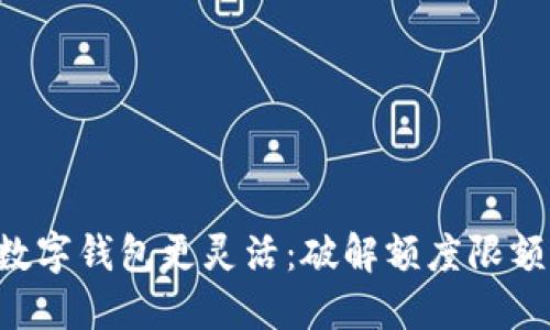 让你的数字钱包更灵活：破解额度限额的秘密！