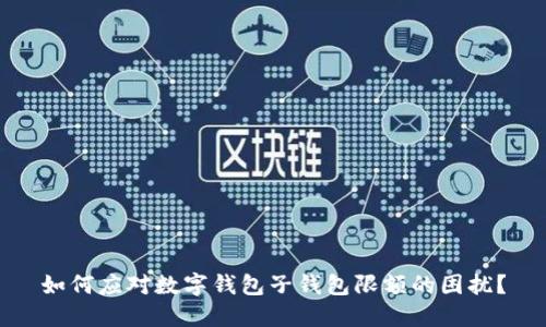如何应对数字钱包子钱包限额的困扰？